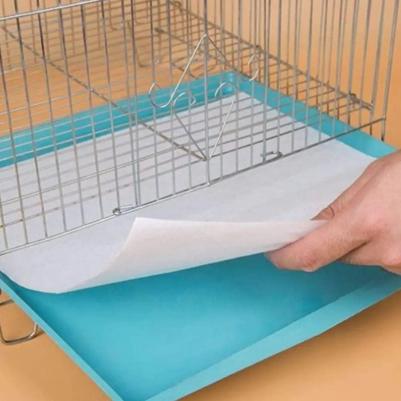 Papel Toalha Ultra Absorvente PipiPet - 50 Unidades